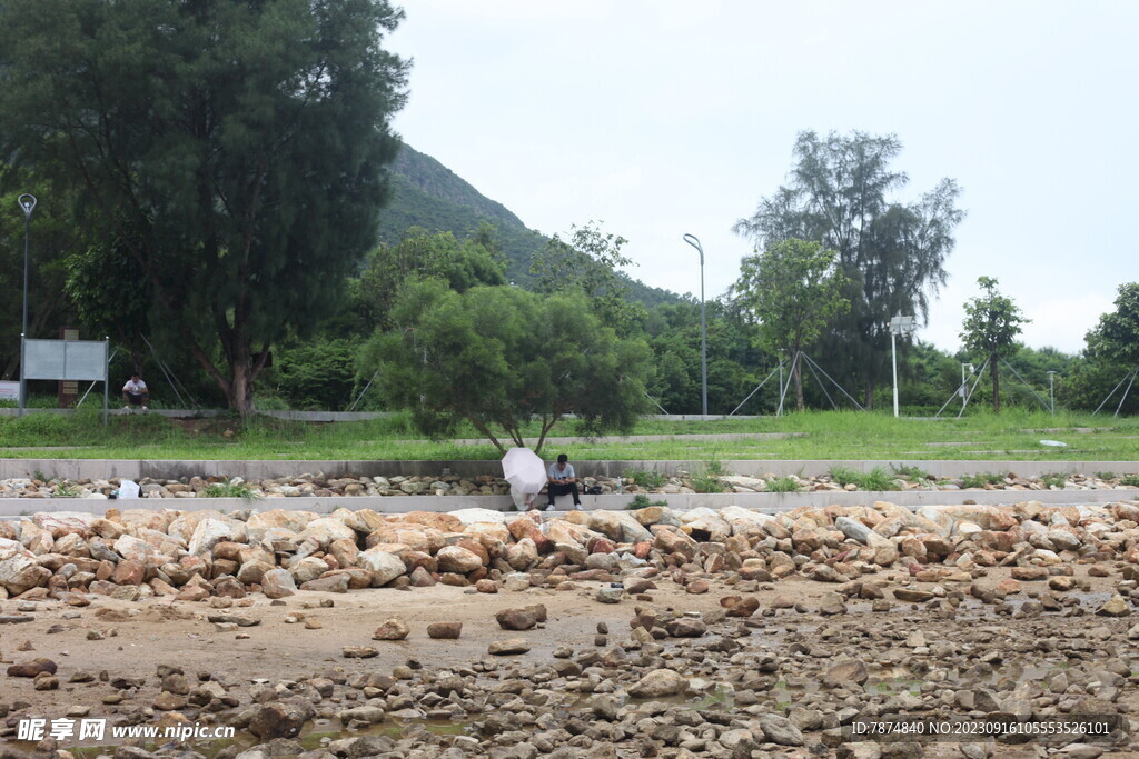 深圳坝光