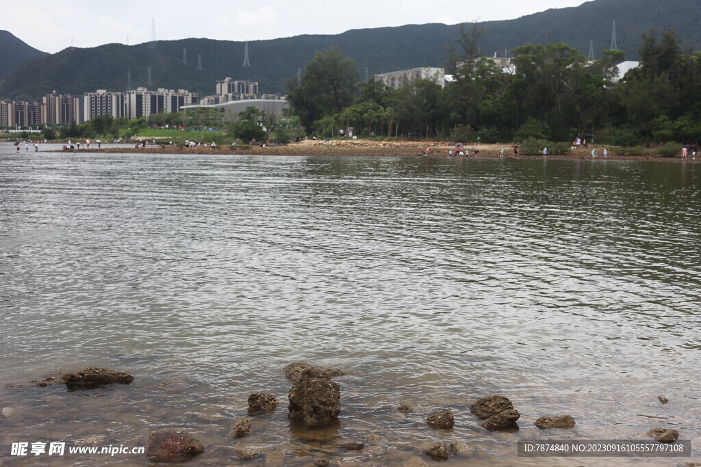 深圳坝光