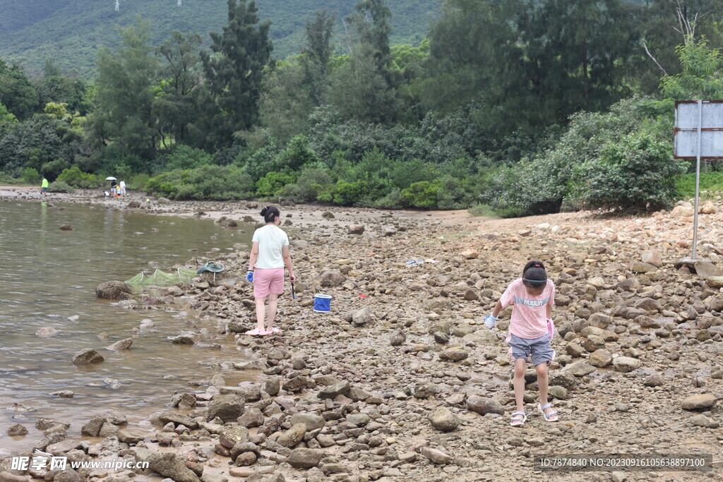 深圳坝光