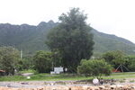 深圳坝光