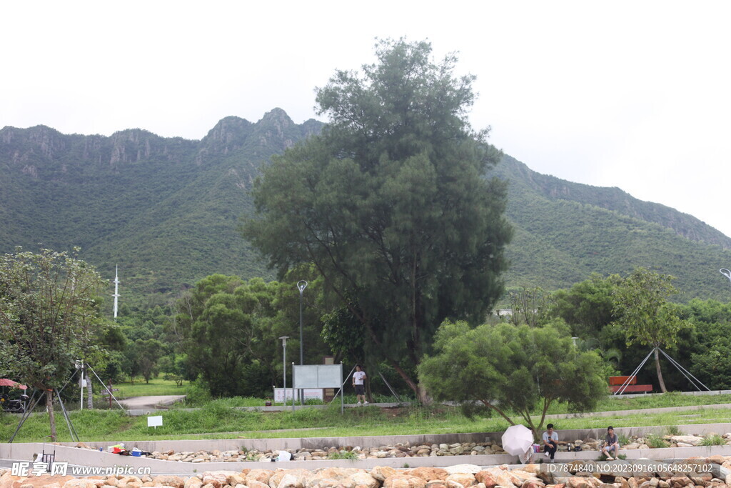 深圳坝光