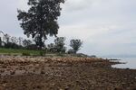 深圳坝光