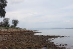 深圳坝光