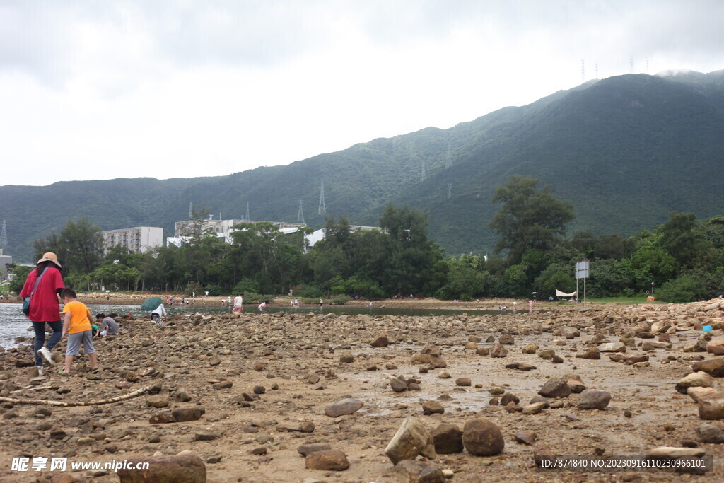 深圳坝光