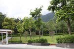 深圳坝光