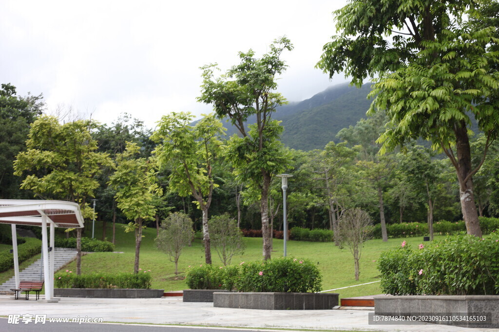 深圳坝光