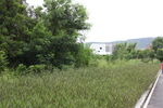 深圳坝光