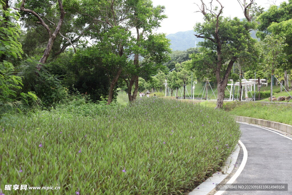 深圳坝光