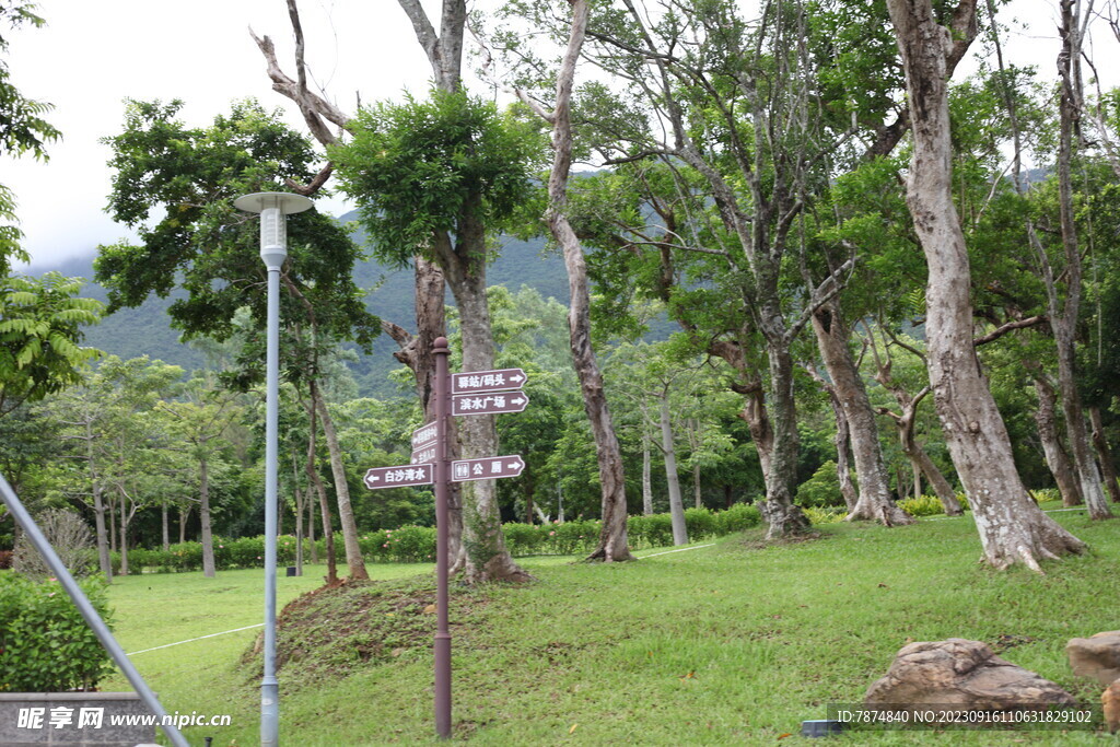 深圳坝光
