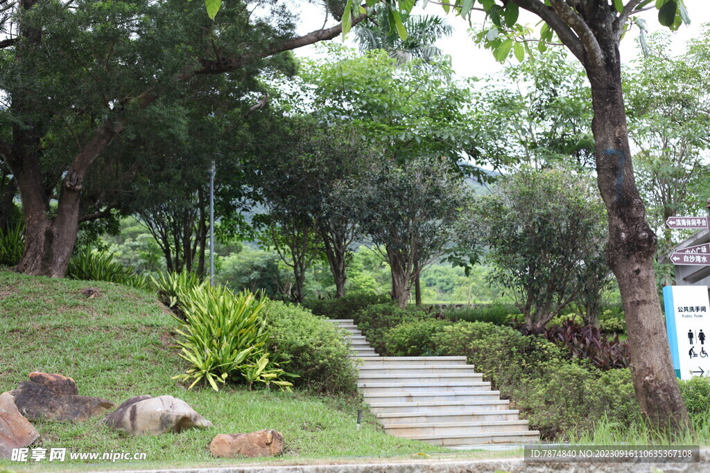 深圳坝光