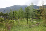 深圳坝光