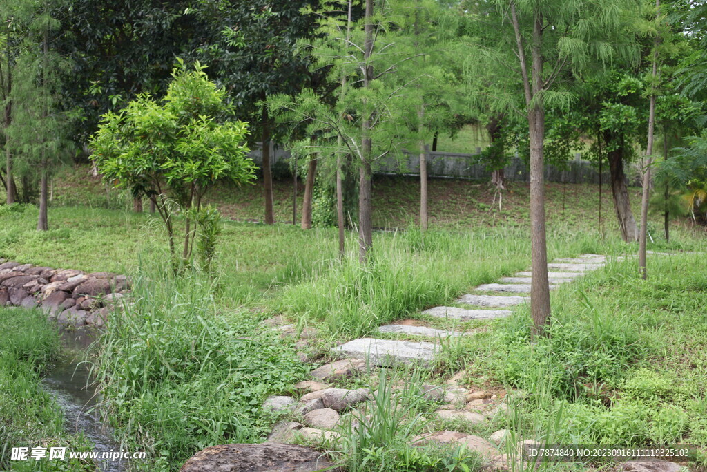 深圳坝光