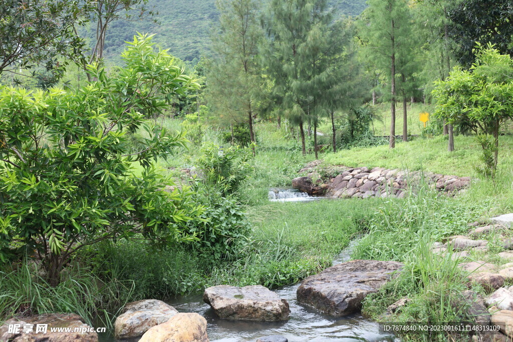深圳坝光