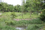 深圳坝光