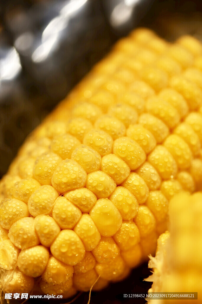 玉米棒子