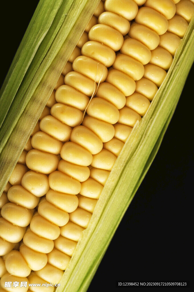玉米
