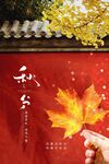 秋分节气海报