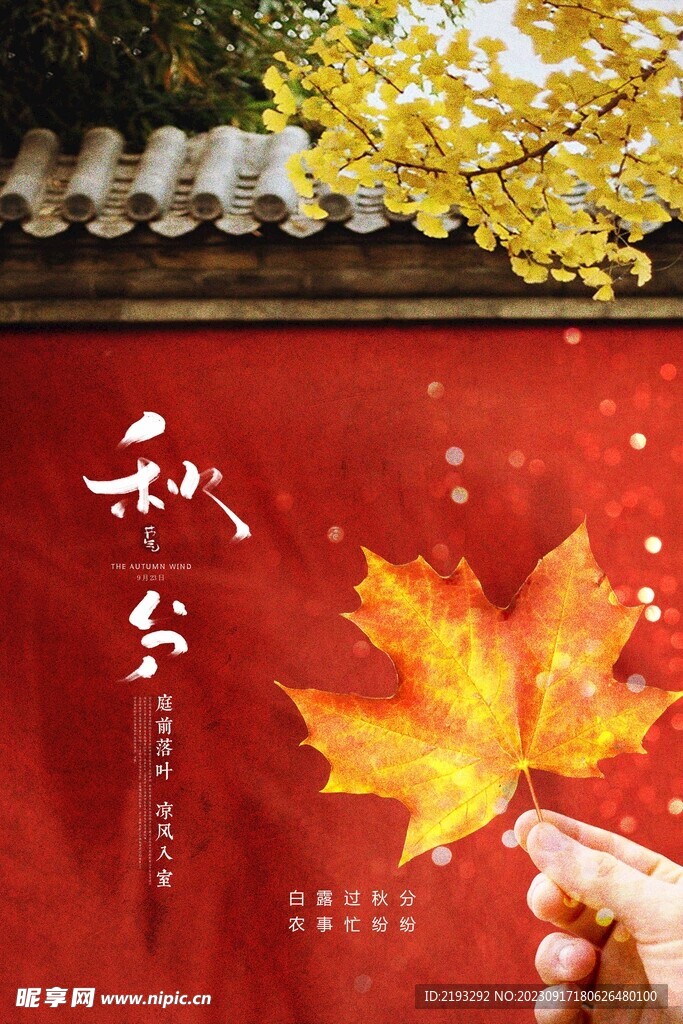 秋分节气海报