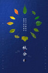 秋分节气海报