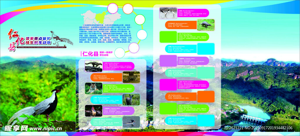 仁化县国家重点保护陆生野生动物
