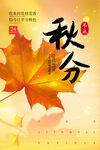 秋分