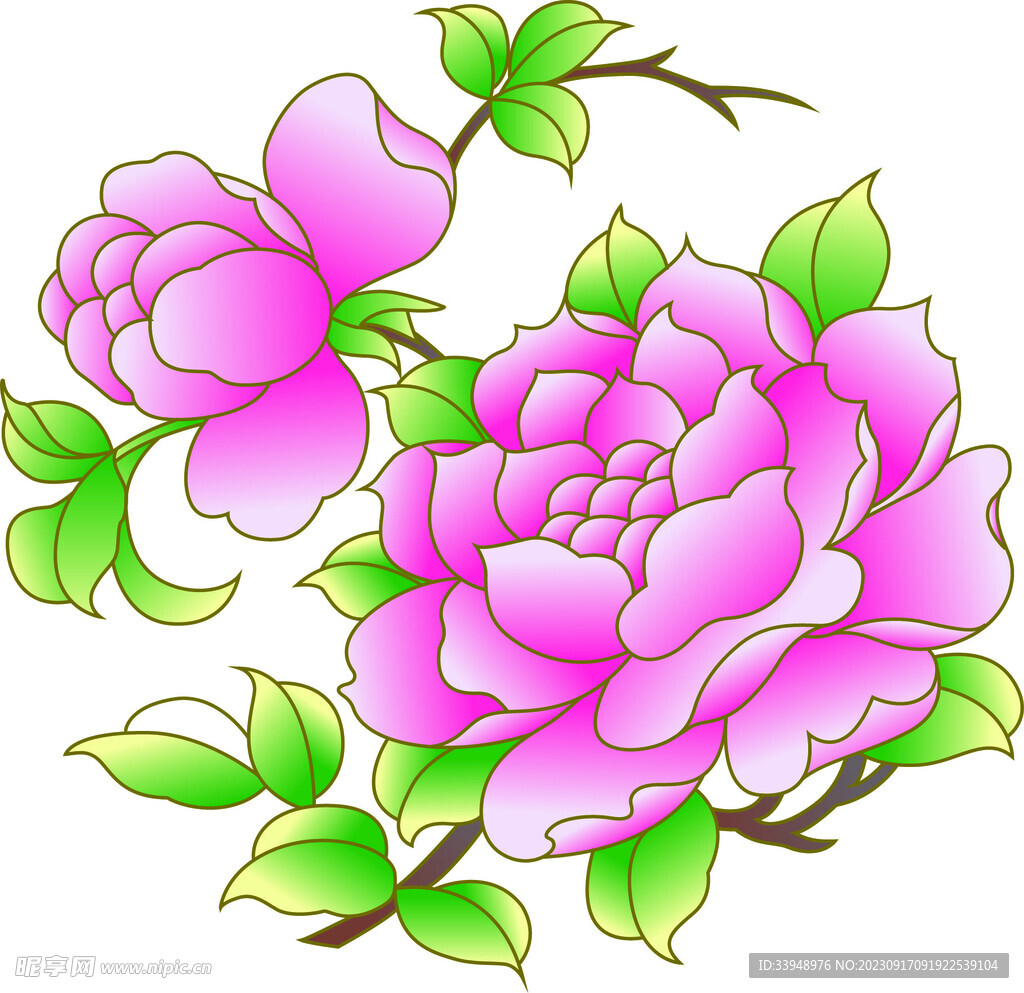 牡丹花