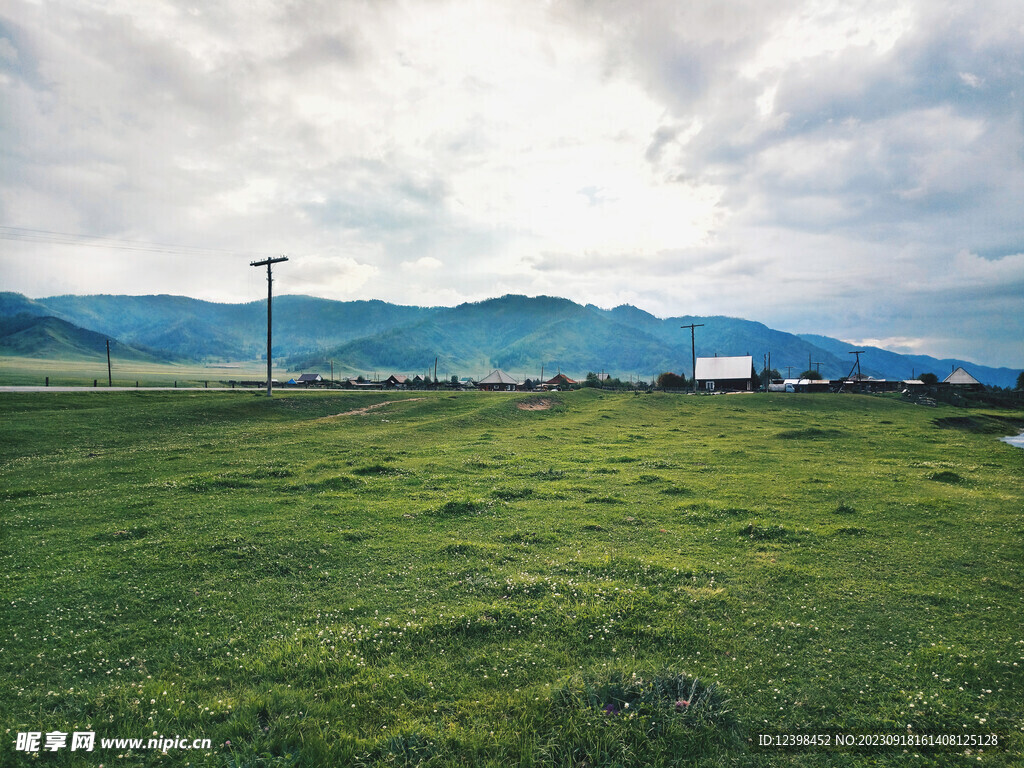 草地