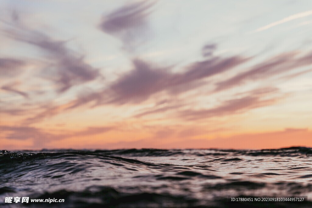大海
