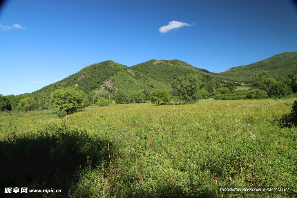 草原青山