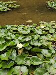 沂水