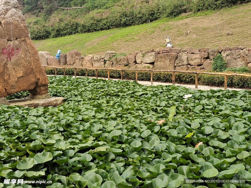 沂水