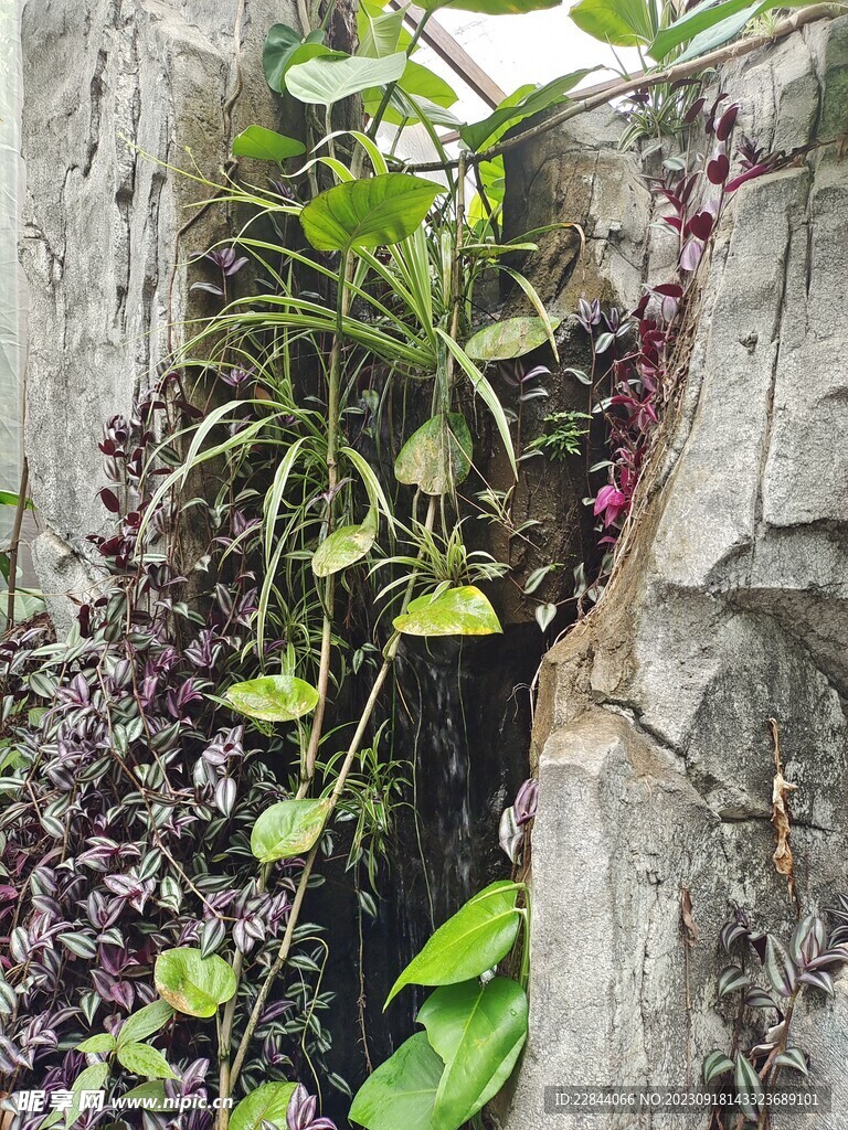 沂水