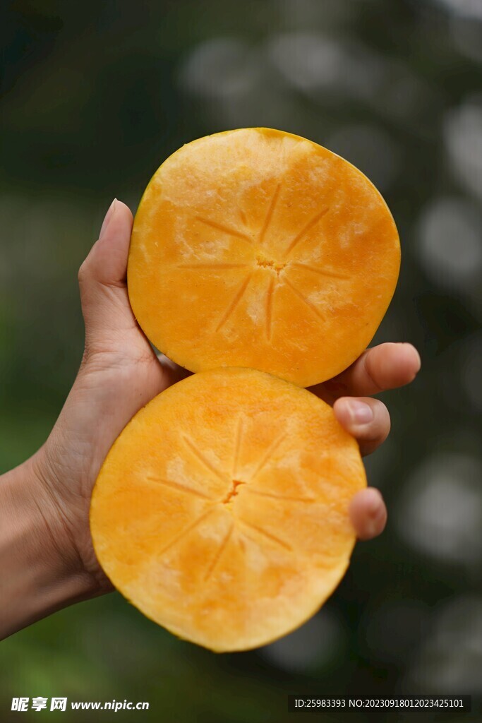 大秋甜柿