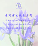 行芷