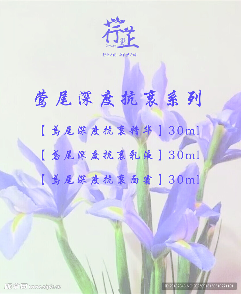 行芷