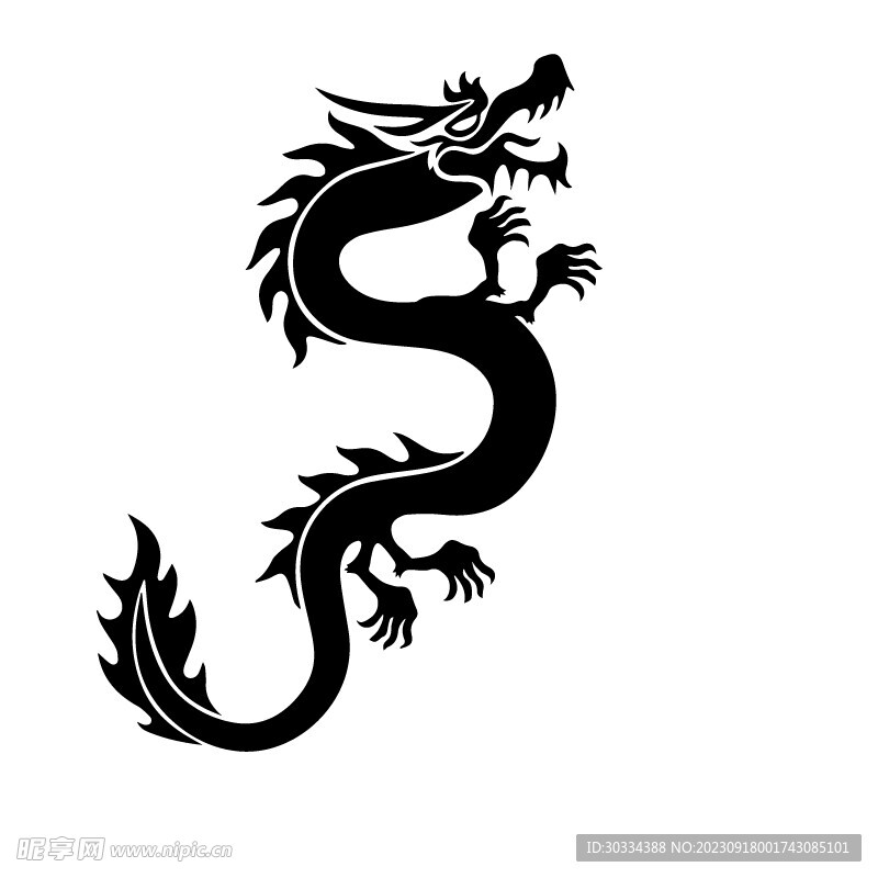 龙
