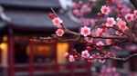 梅花