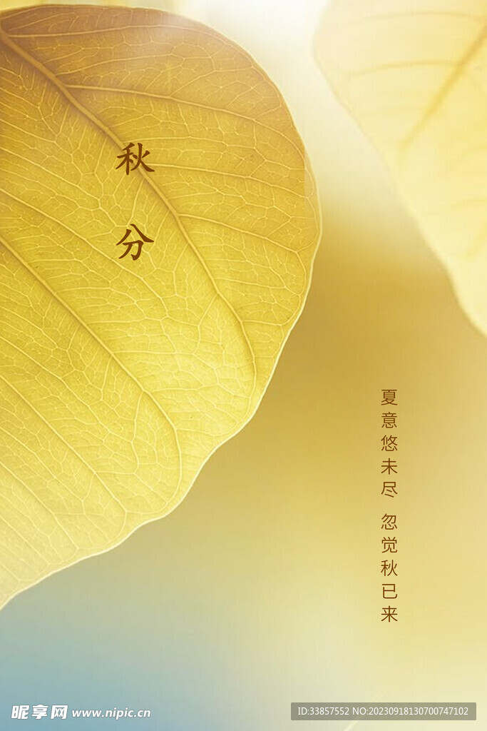 秋分海报           