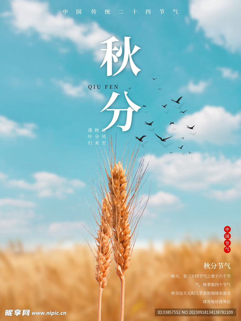 秋分海报           