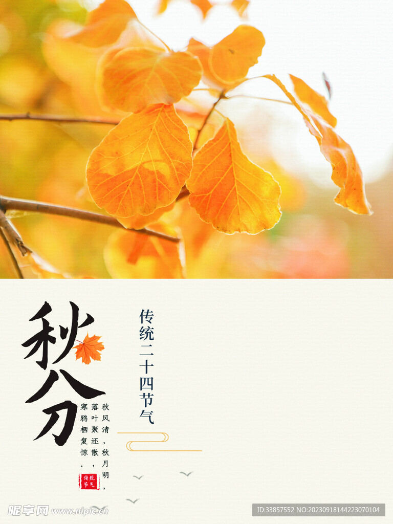 秋分海报           