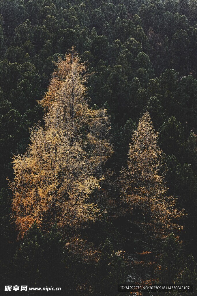 风景图片
