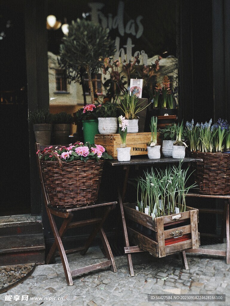 鲜花和盆栽展示区
