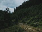 山林中的山路