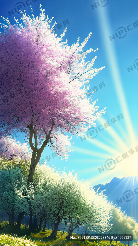 植物丰茂的春天 自然风光