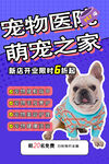 宠物展板活动