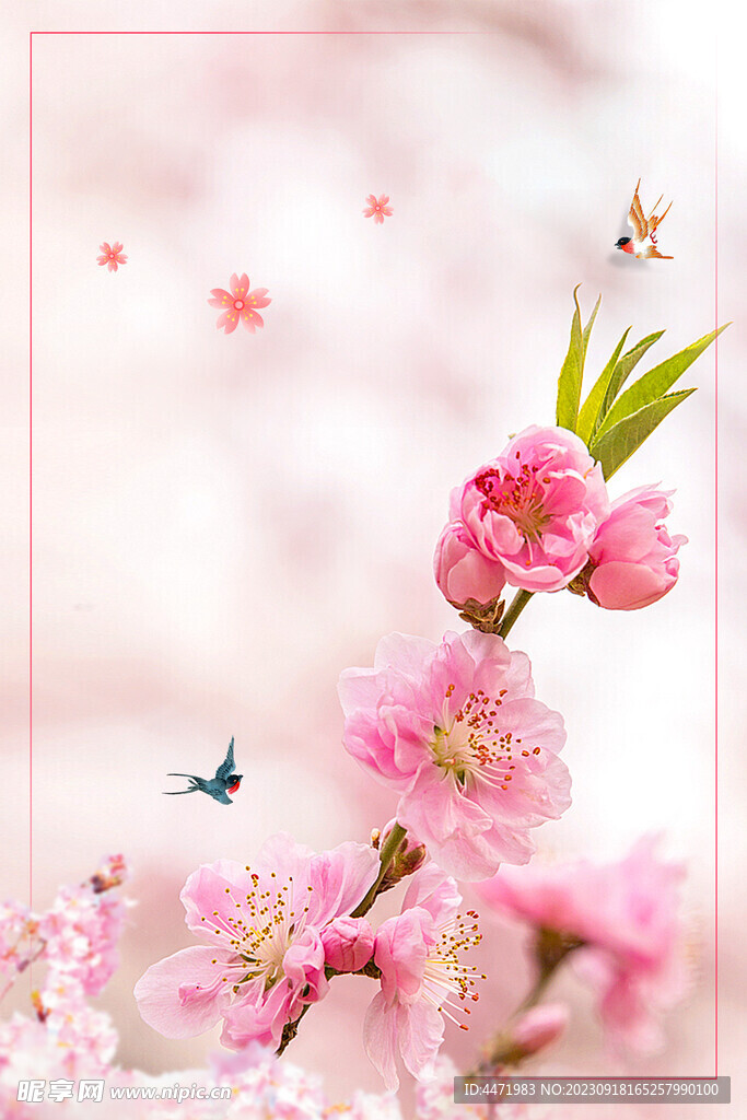 桃花背景 