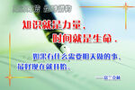 知识就是力量