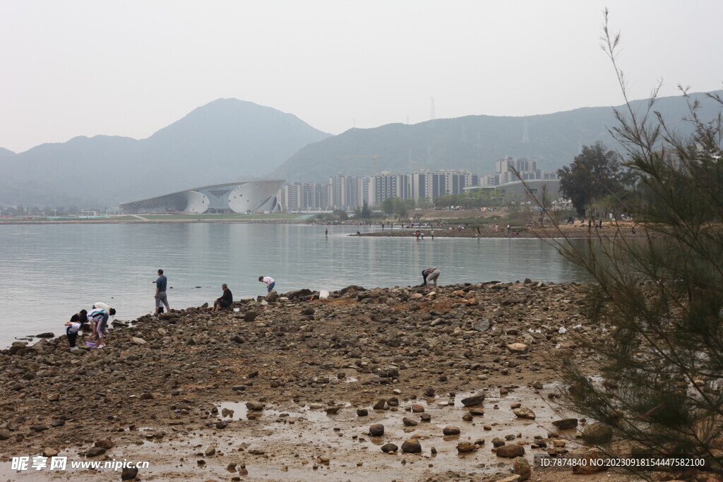 白沙湾公园