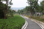 坪河公园