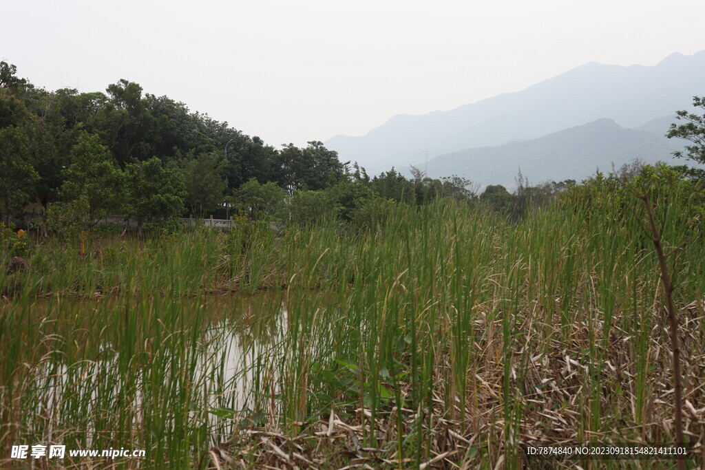 坪河公园